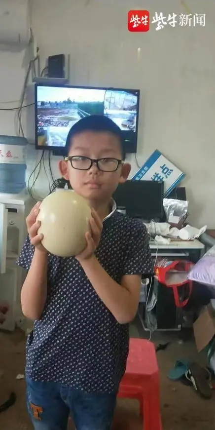 鸵鸟养殖能致富_养殖鸵鸟能致富吗_养殖鸵鸟能挣钱吗