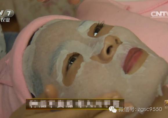 驻马店丝瓜种植基地_驻马店丝瓜水致富经_驻马店丝瓜水集团