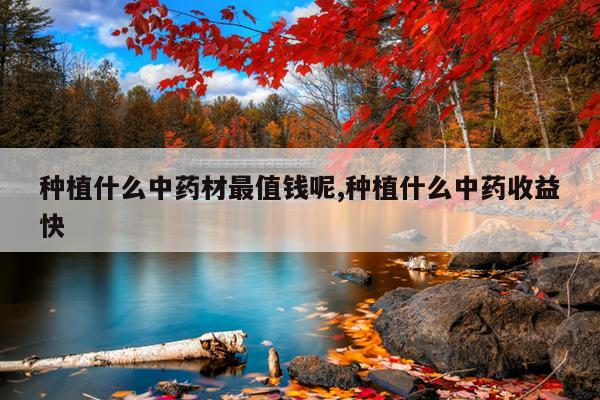 种植什么中药材最值钱呢,种植什么中药收益快