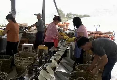 养殖致富之路_饶平养殖致富历史_致富经农业养殖视频