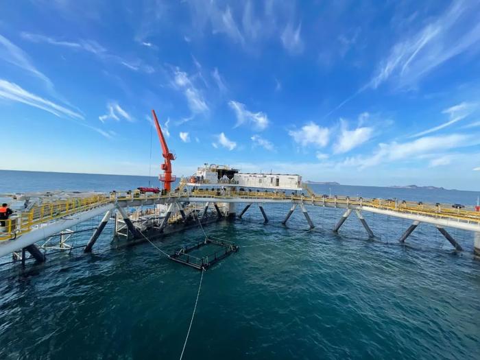 深海养殖技术在海洋渔业_深海养殖技术_深海养殖技术和设备