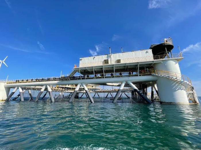 深海养殖技术_深海养殖技术和设备_深海养殖技术在海洋渔业