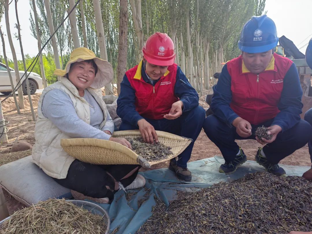 致富网农业种植药材_药材种植致富网_致富药材种植网站