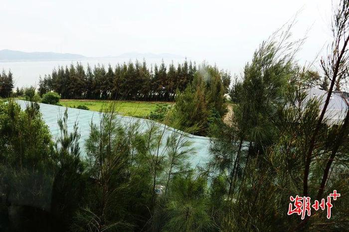 沿海行丨潮州饶平汛洲岛：世外桃源在沿海经济带建设中的乡村机遇