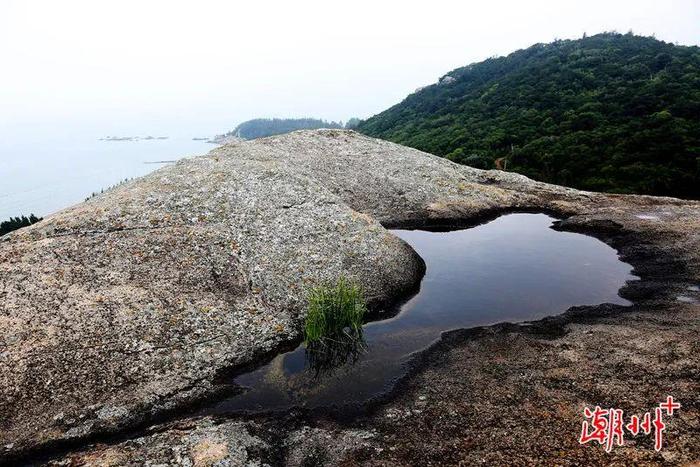 沿海行丨潮州饶平汛洲岛：世外桃源在沿海经济带建设中的乡村机遇