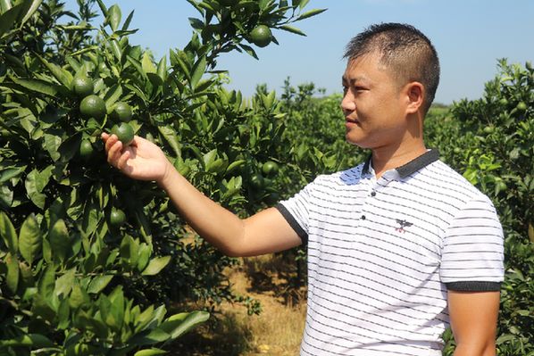 贵州养殖技术石蛙基地_贵州石蛙养殖技术视频_贵州石蛙养殖技术