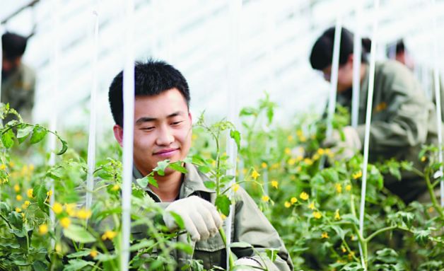 贵州石蛙养殖技术视频_贵州养殖技术石蛙基地_贵州石蛙养殖技术