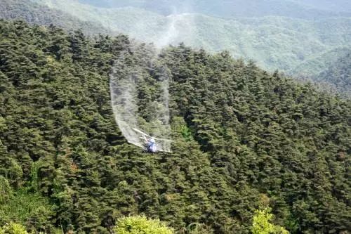 贵州养殖技术石蛙基地_贵州石蛙养殖技术视频_贵州石蛙养殖技术