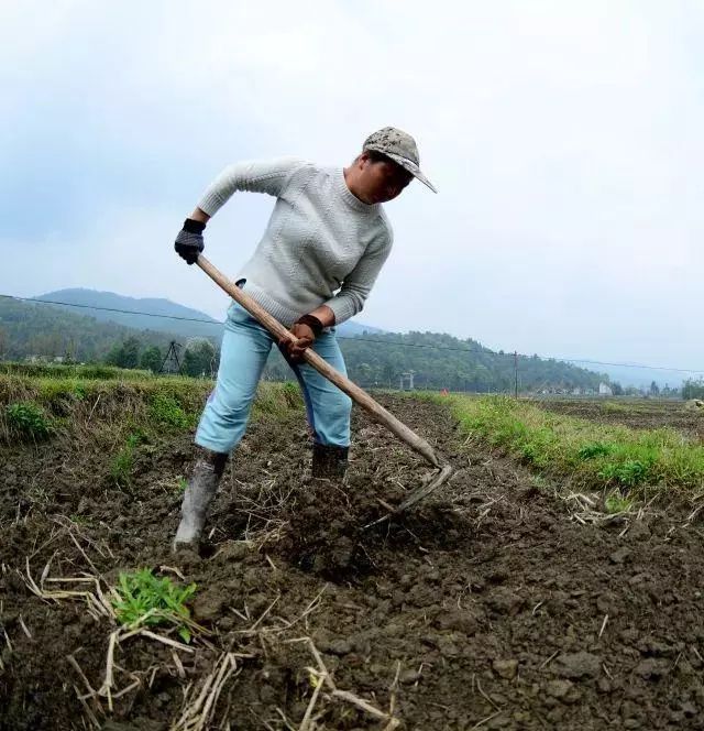 贵州养殖技术石蛙基地_贵州石蛙养殖技术视频_贵州石蛙养殖技术