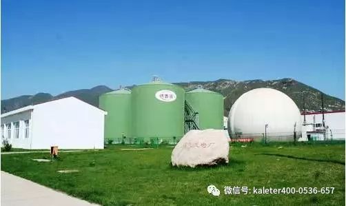 河南鸡苗养殖基地_河南的养鸡场_河南种鸡养殖技术基地