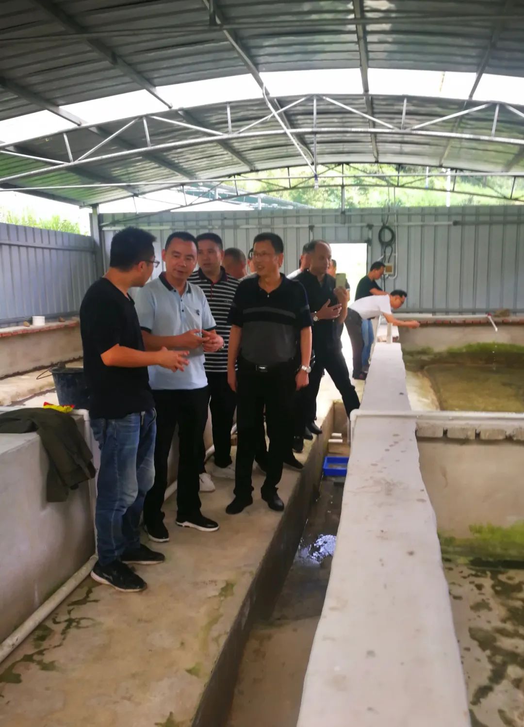 贵州石蛙养殖技术_贵州养石蛙基地_贵州石蛙养殖技术视频