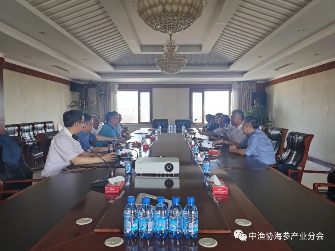 海参养殖技术要点讲课_海参底播_底播海参养殖技术