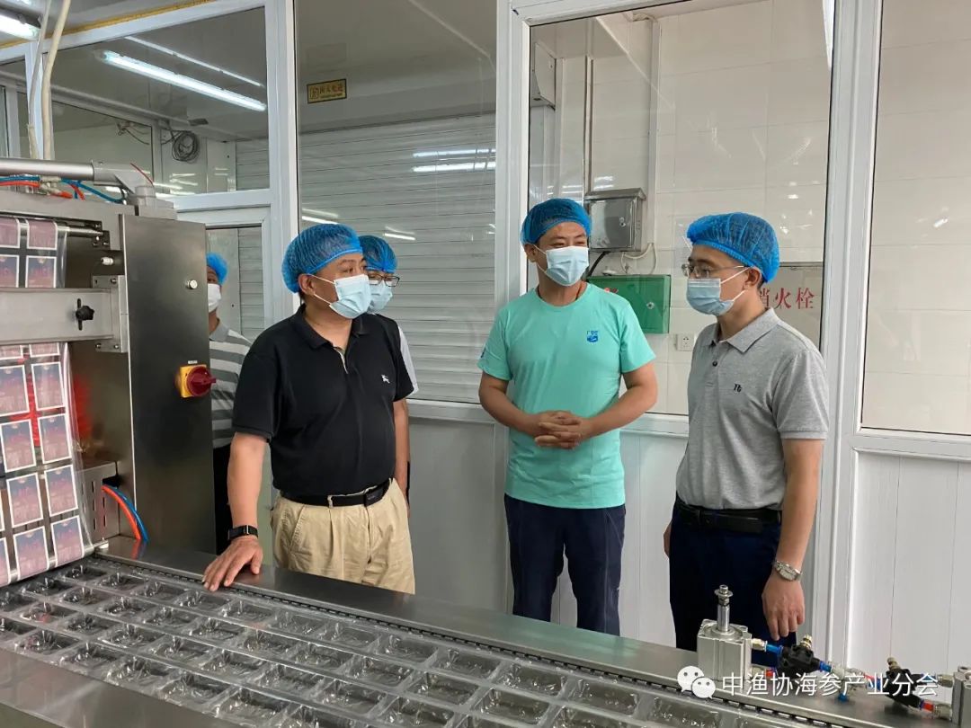 海参养殖技术要点讲课_海参底播_底播海参养殖技术