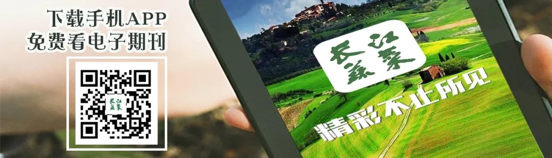 拱西瓜棚种植早春技术与管理_拱西瓜棚种植早春技术要求_早春拱棚西瓜种植技术