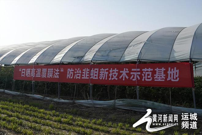山西运城适合种植什么药材_运城种地_运城致富种植