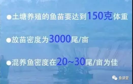 鲮鱼养殖技术_鳡鱼养殖技术_鳊鱼怎么养殖技术
