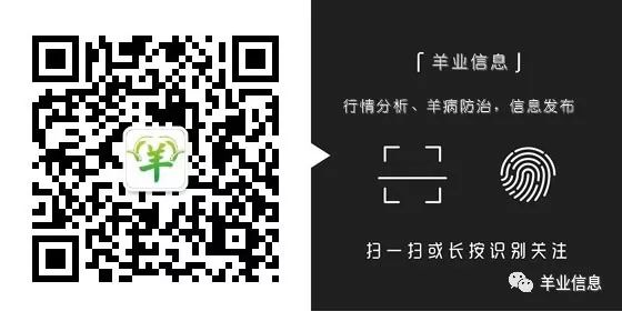 牛羊养殖交流平台_a欢迎咨询牛羊养殖技术_牛羊养殖业