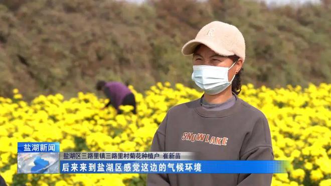 运城致富种植_运城地区适合种植什么药材_运城致富经
