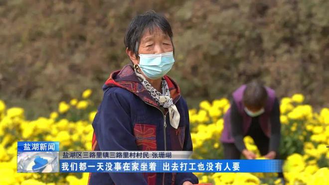 运城致富经_运城致富种植_运城地区适合种植什么药材