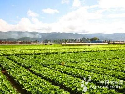 欧诗漫珍珠白套装