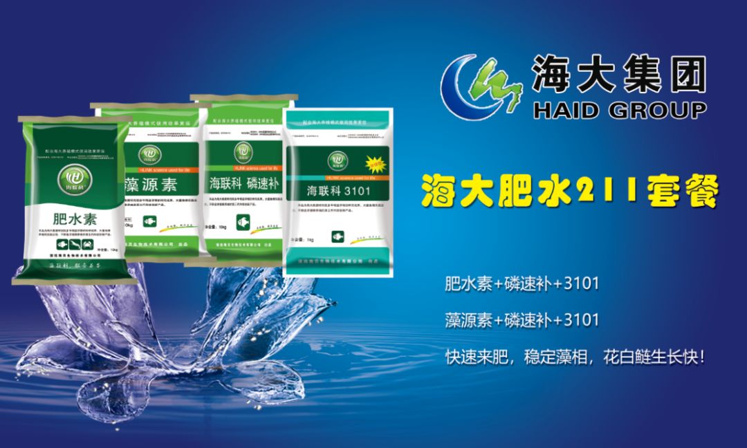 看到希望！今年花白鲢行情持续见好，这样养殖斤鱼成本不到7毛钱
