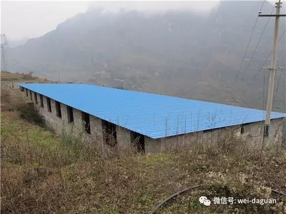 养殖致富带头简介_养殖带动村民致富范文_养殖致富案例