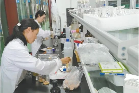 野山椒种植一亩地成本_野外种植致富椒_椒的种植技术
