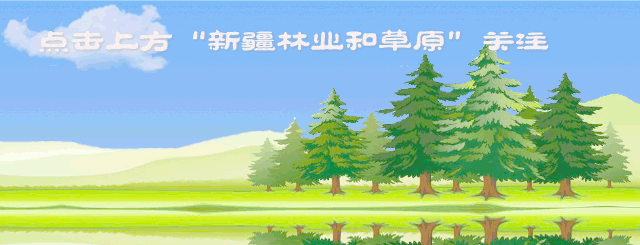 香梨栽培管理技术明白册