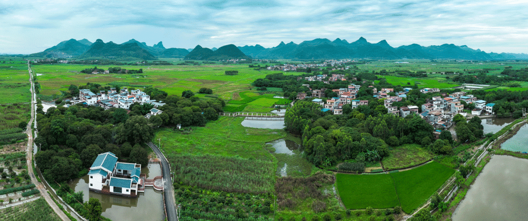 龙岩适合种植什么果树_龙岩适合种植什么中药材_龙岩种植致富