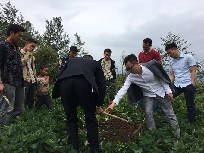 养殖种植致富项目_致富养殖种植项目名称_致富养殖种植项目介绍
