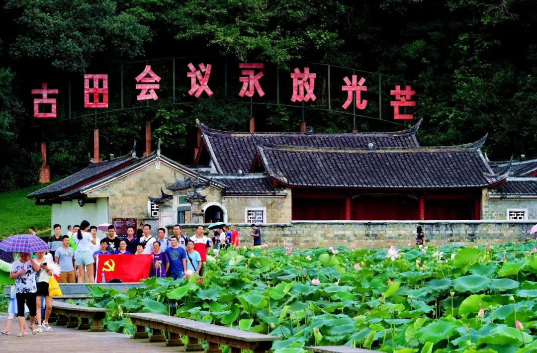 龙岩种植致富_福建龙岩种植什么最好_龙岩适合种植什么中药材
