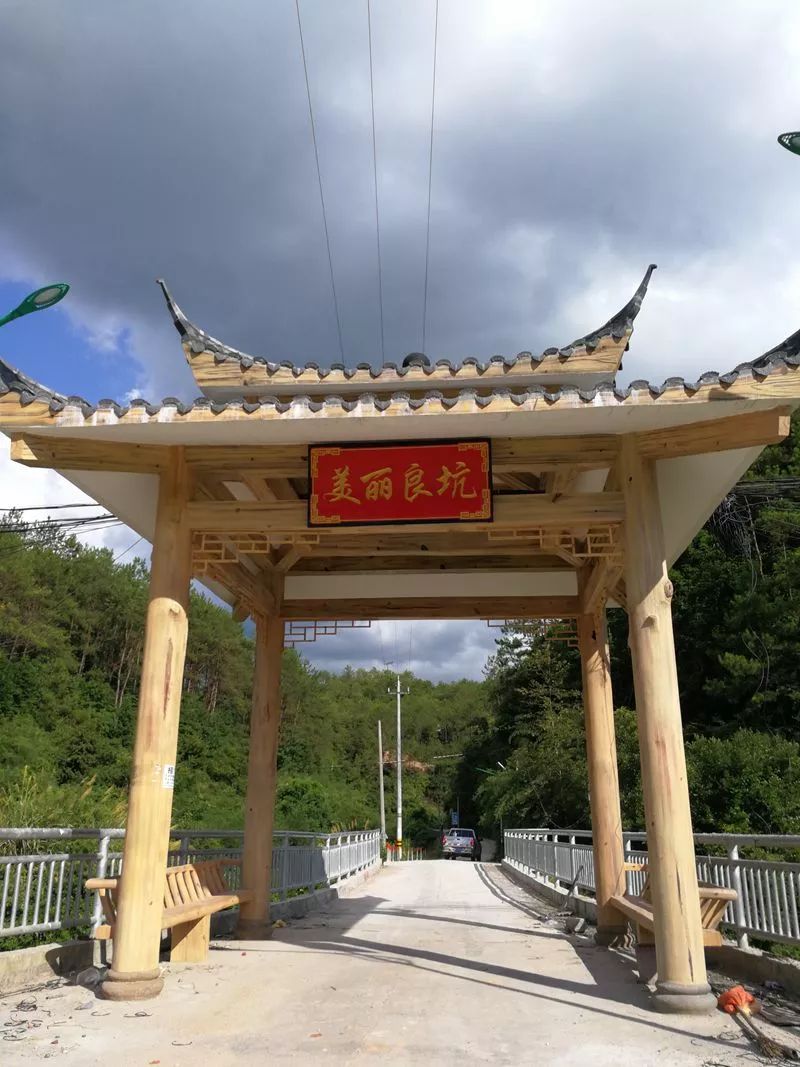 龙岩适合种植什么中药材_福建龙岩种植什么最好_龙岩种植致富