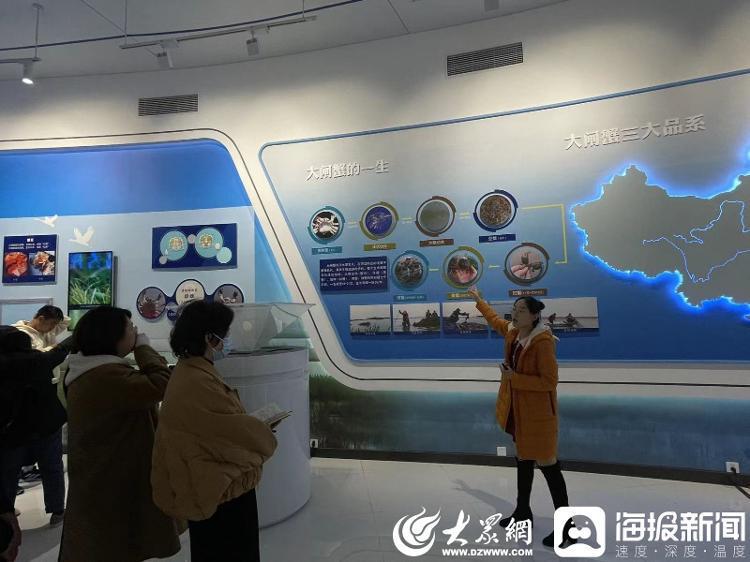 淡水养殖大闸蟹技术要点_淡水养殖大闸蟹技术要求_淡水大闸蟹养殖技术