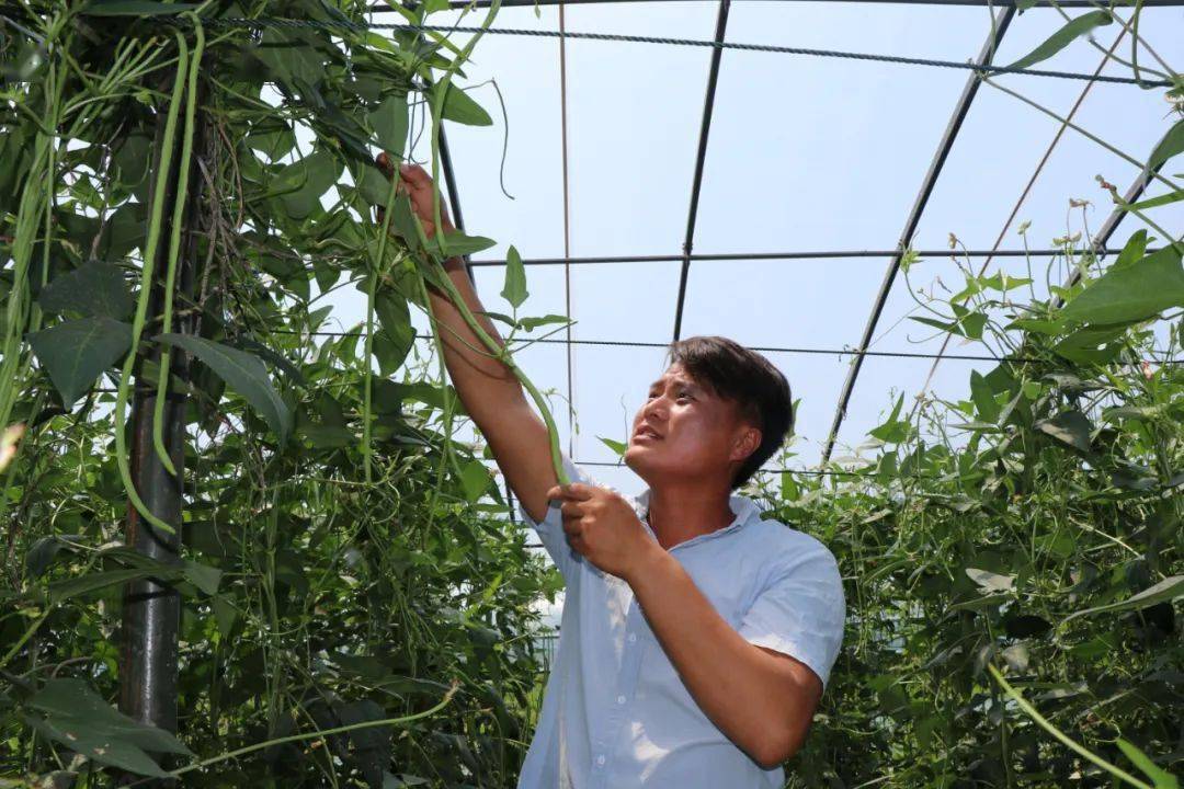 菜农们的“党员中心户”