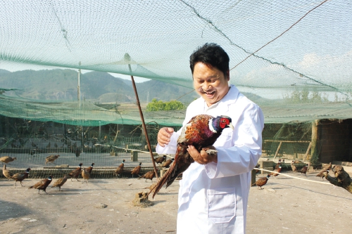罗爱权：生态养鸡啄开致富门