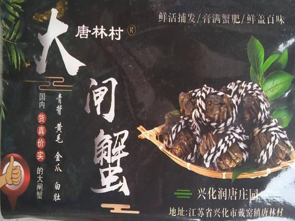 大闸蟹养殖致富故事_致富养殖大闸蟹故事视频_致富养殖大闸蟹故事简介