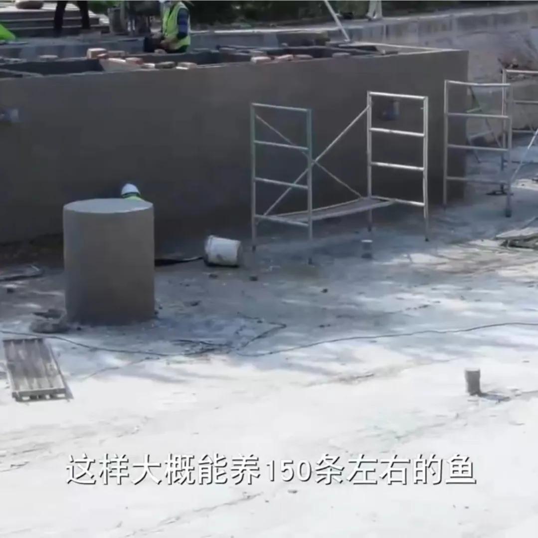 致富观赏养殖鱼创业方案_创业养殖观赏鱼致富_致富观赏养殖鱼创业项目
