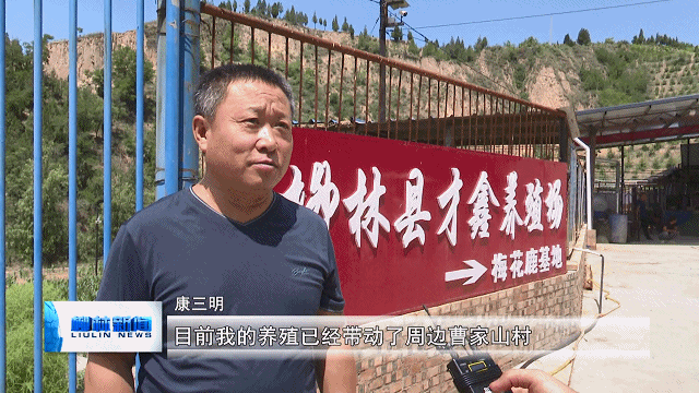 致富养殖梅花鹿赚钱吗_致富养殖梅花鹿怎么样_致富经梅花鹿养殖