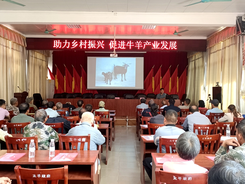 养殖牛技术的书_技术养殖牛_养殖牛技术大全