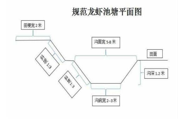 龙虾养殖高产技术小结_龙虾养殖技术指导视频_小龙虾养殖高产技术