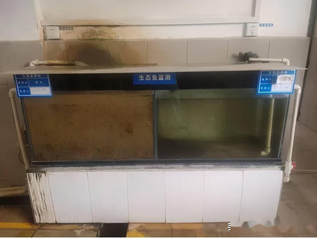 养鱼视频致富经_视频致富养鱼网箱下载_致富经网箱养鱼视频