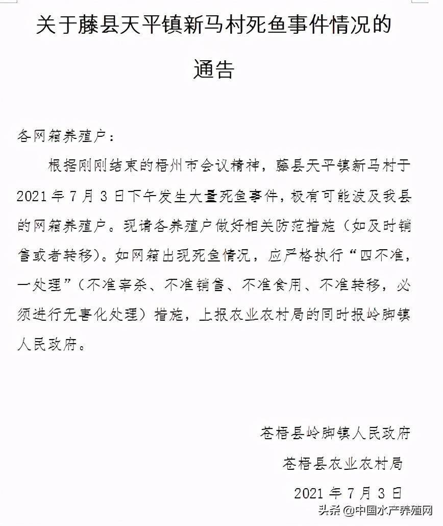 养鱼视频致富经_视频致富养鱼网箱下载_致富经网箱养鱼视频
