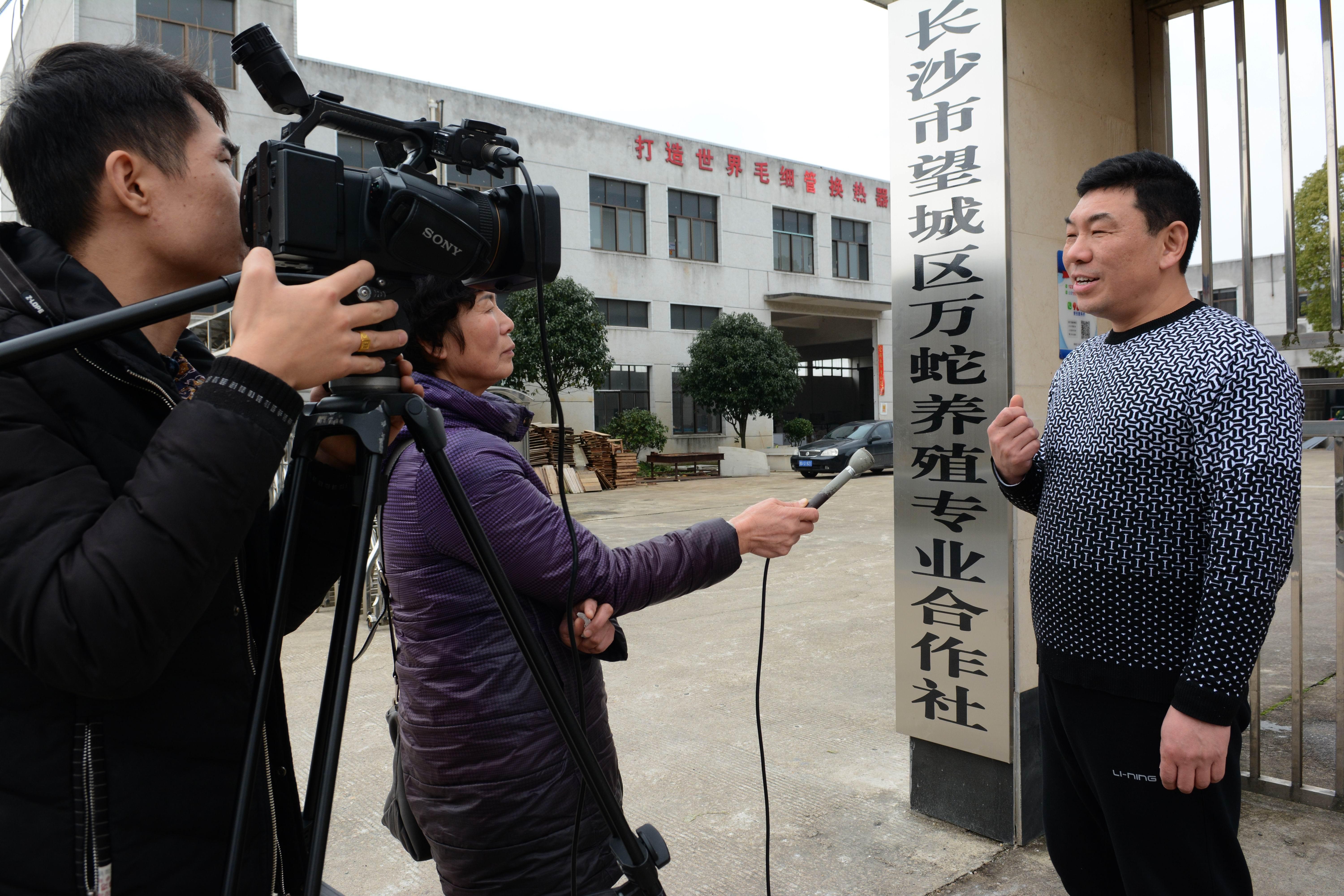 大王蛇养殖技术培训_养殖大王蛇需要办理什么证书_养殖100条大王蛇利润