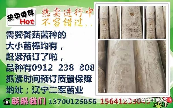 香菇种植科技苑_邛崃香菇种植技术中心_香菇种植基地负责人电话大全