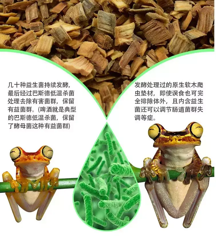 大王蛇养殖技术培训_养殖大王蛇技术视频_养殖100条大王蛇利润