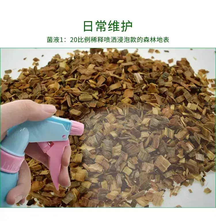 养殖100条大王蛇利润_大王蛇养殖技术培训_养殖大王蛇技术视频