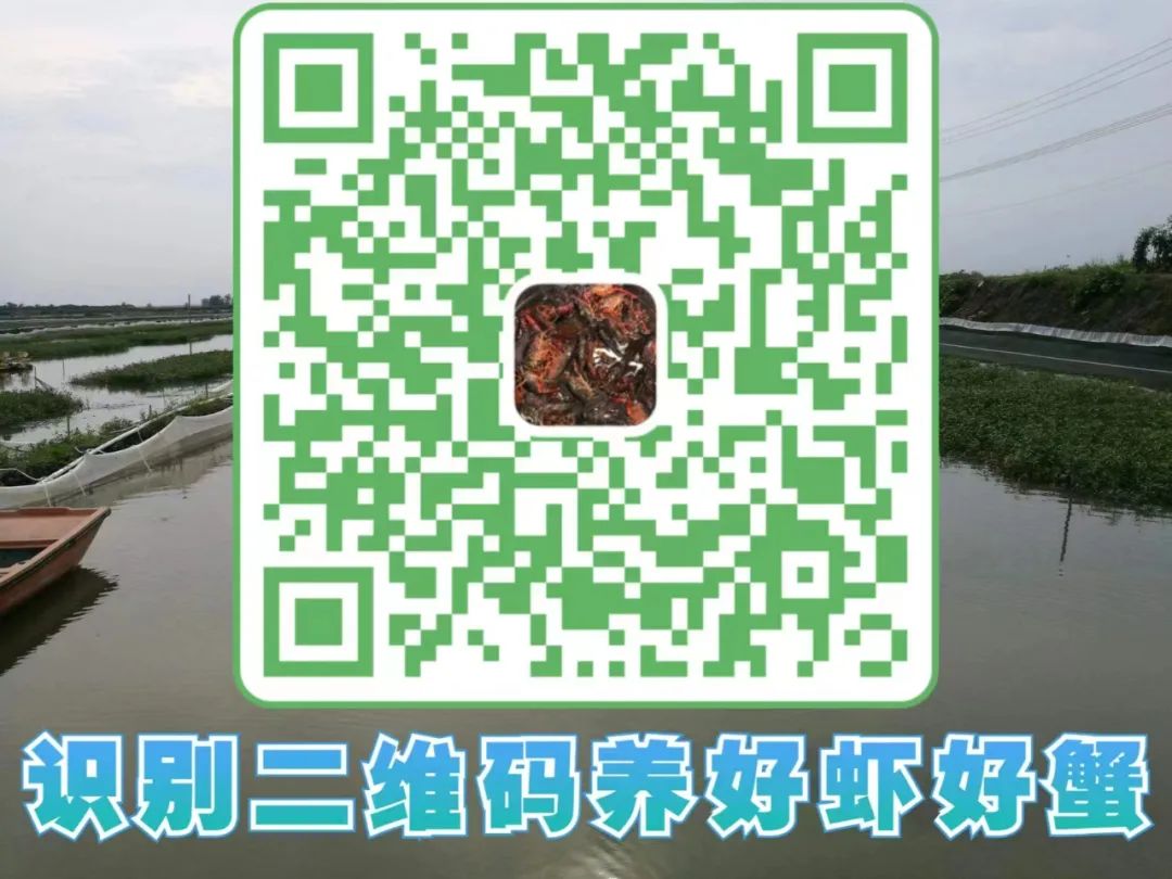 龙虾养殖技术指导视频_小龙虾养殖高产技术_龙虾养殖高产技术小结