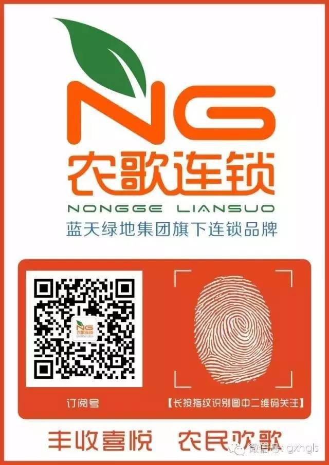 【农歌通讯】柑桔苗木种植技术