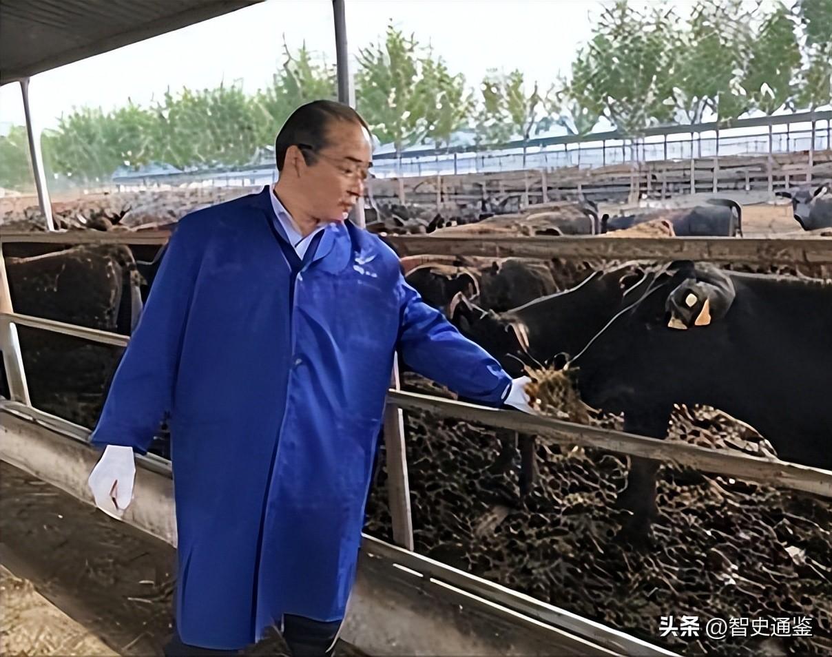 大老板回农村养殖致富项目_农村致富新项目养殖_养殖致富案例