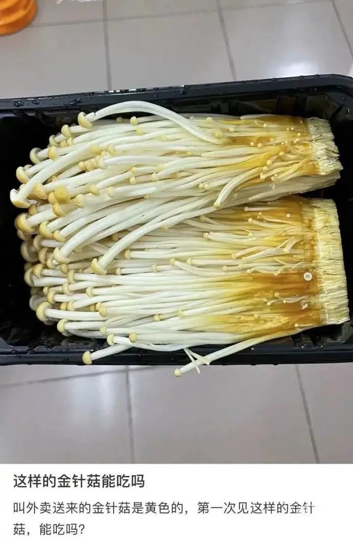 金针菇种植技术视频_种植金针菇视频_大量种植金针菇的种植技术